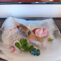 鮨 やまけん 銀座店 - 