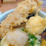 本格手打 もり家 - 