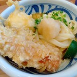 本格手打 もり家 - 