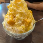 カドヤ - 