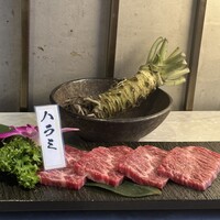 PONGA PREMIUM - 