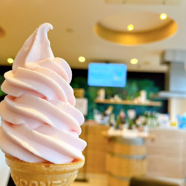 北海道ワイン 小樽ワインギャラリー - 小樽築港（その他）の写真