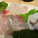 いしもん - ひらめ、しまあじ、活けタコ