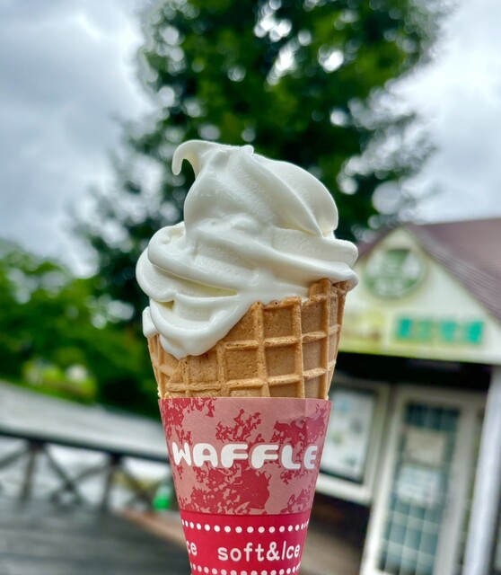 チーズハウス - 蔵王町その他（チーズ料理）の写真