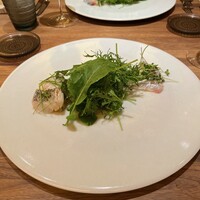 Selvaggio - 