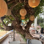 Hau Tree Lanai Restaurant - 
