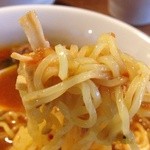 べんべら庵 - 麺のアップ