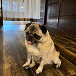 お菓子とくつろぎとこむぎさん - 