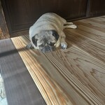 お菓子とくつろぎとこむぎさん - 