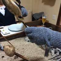 料亭 長坂 - 利き手でゎない方に軍手して串とります！