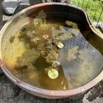 喫茶 みつば - 料理写真: