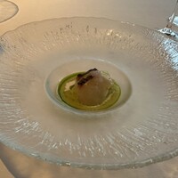 XEX TOKYO / Salvatore Cuomo Bros. - 