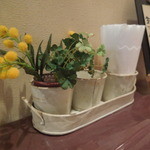 ぽわぶる - テーブルの飾り付け