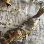 胎内フィッシング&ボートパーク - 