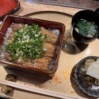うなぎ 目白ぞろ芽 - 