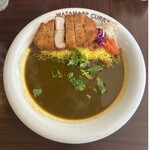 渡邊カリー 心斎橋店 - 