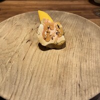 Selvaggio - 