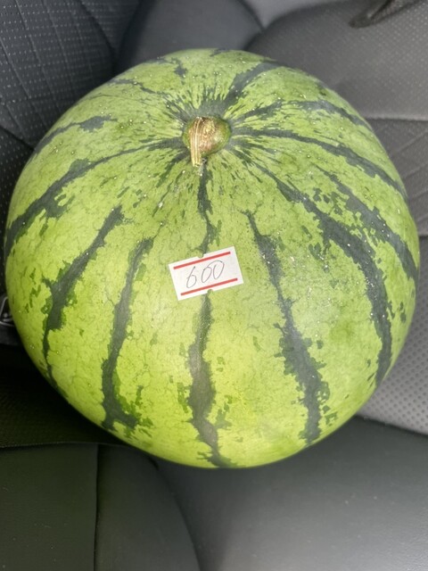 さわ市 - 三春（うどん）の写真