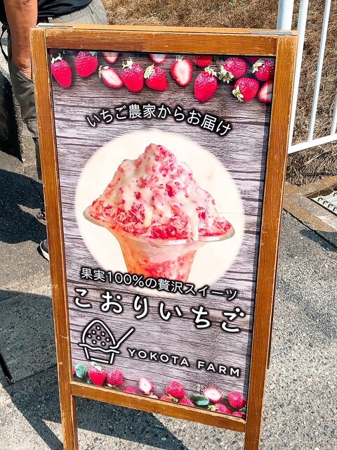 横田農園 - 川東（その他）の写真