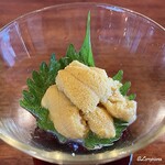 朝獲れのキタムラサキ海胆の造り