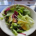 かもだ珈琲 - セットのサラダ
