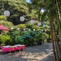 葉山 日影茶屋 - お庭