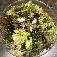 niku no OTO - チョギレサラダ