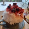 抹茶庵けんしん - 料理写真:５種のベリーかき氷