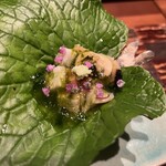 おちあいろう - 