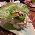 おちあいろう - 