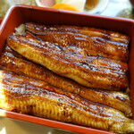 うなぎ亭 友栄 - 鰻重（6600円）