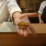 東麻布 天本 - 赤ウニ