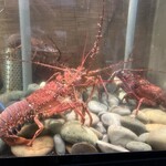 四季の味・奴 - 