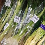 フレッシュ・クラブ - 1本 46円の セロリ　少し買いたい時に便利です