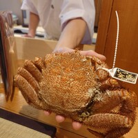 豊鮨 - タグ付きの毛蟹