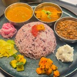 Curry Spice Gelateria KALPASI - 