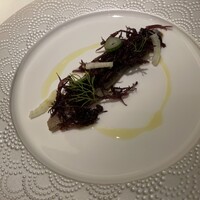 ヤマガタ サンダンデロ - 