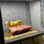 VinIX - 牛さんこんにちは。