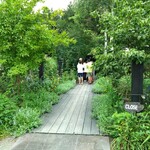 ファームヤード - 