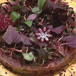 レストラン ローブ - 土佐あかあうし　旨み