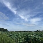 プレゼンテ スギ - お料理の　余韻を楽しむ　帰り道　1/2