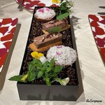 プチレストラン ブーケ・ド・フランス - 馬肉のタルタルと熊肉のパテ