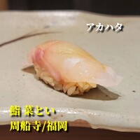 鮨 菜とい - 