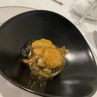 Pigeon - 