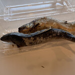 道の駅 よって西土佐 - 大2匹