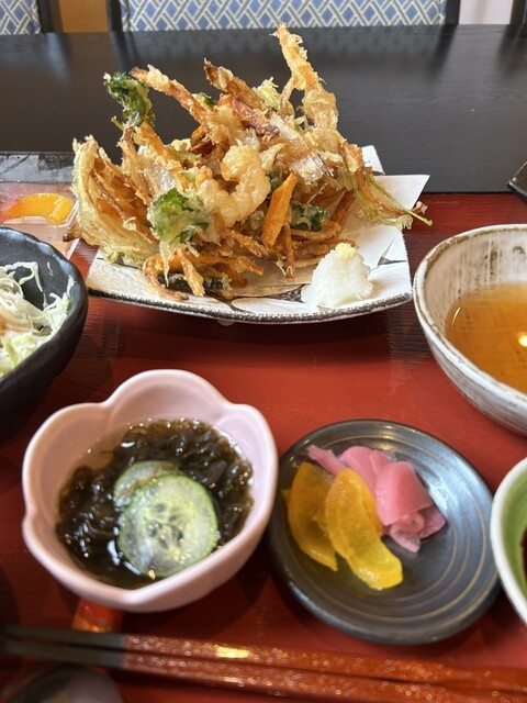 Himaka Jin Tokugane photo 3