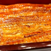 入谷鬼子母神門前のだや - きょうすい重 大(ご飯普通)