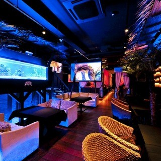 Hollywoodコース 女子会に 華やかな女子会を彩る豪華料理と2時間飲み放題付 3500円 ハリウッド ヒルズ Hollywood Hills 中洲川端 イタリアン 食べログ