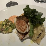 THE COSMOPOLITAN GRILL BAR TERRACE - 