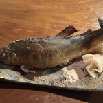 天満酒場 久右ェ門 - 